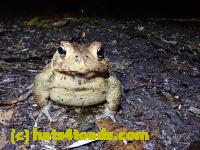 /home//u458753944/public_html/sourcegallery////McKaig Nature Center/2020-09-27/P9270700.JPG
